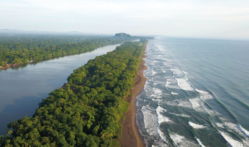 Un tour de 8 días para explorar la belleza de Tortuguero, La Fortuna y por último el Parque Nacional Manuel Antonio.